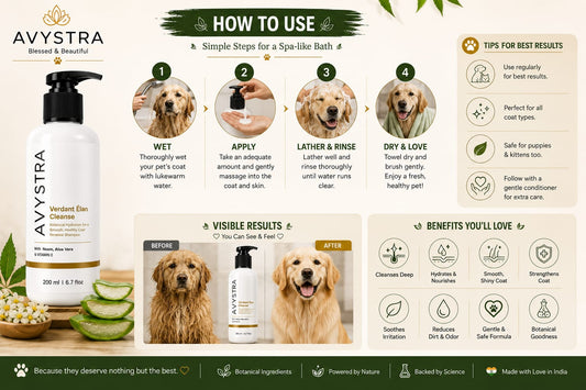 AVYSTRA Verdant Élan Cleanse Dog & Cat Shampoo | Coat Renewal Shampoo | Neem, Aloe Vera & Vitamin E | 200ml